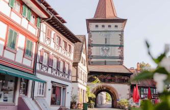 Holzerhof-Ferienwohnungen - Foto 29