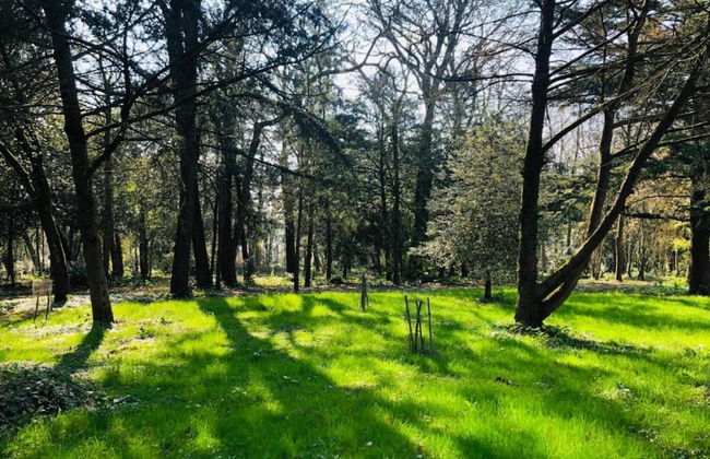 Villa in Nalliers With Private Pool and Garden - Foto 36