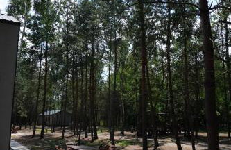 Domki SHERWOOD - Foto 40