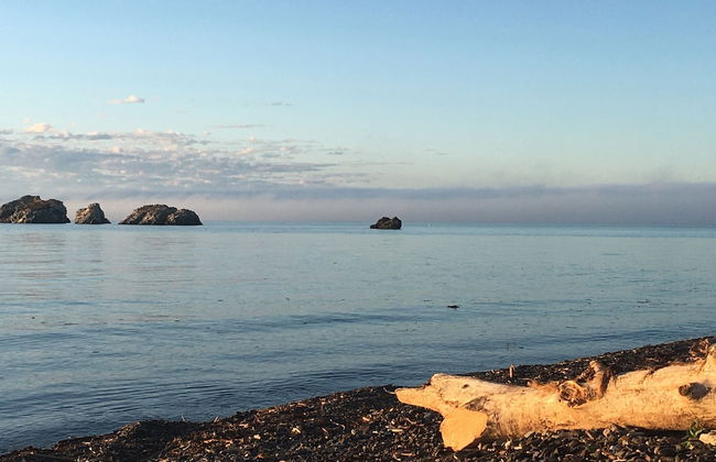 Heron's Nest Cottages - Foto 58