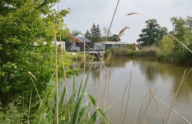 Lovely Holiday Home 'walleken' With a Pond - Photo 40