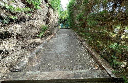 Le Clos des Trois Provinces, Zoo de Beauval - Foto 60