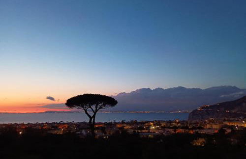 La Pigna Sorrento - Foto 35