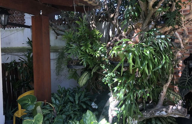 Casa de Praia - Bosque de Geribá - Foto 61