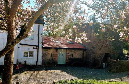 Cosy Studio on the Mendip Way - Foto 15