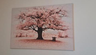 L'Arbre Rose de Bergheim - Foto 4