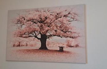 L'Arbre Rose de Bergheim - Foto 4