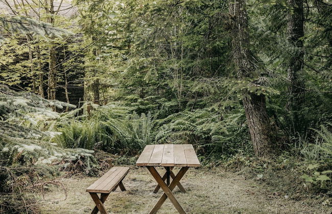 78mbr - Wood Stove - Wifi - Pets Ok - BBQ - Sleeps 6 - Foto 14