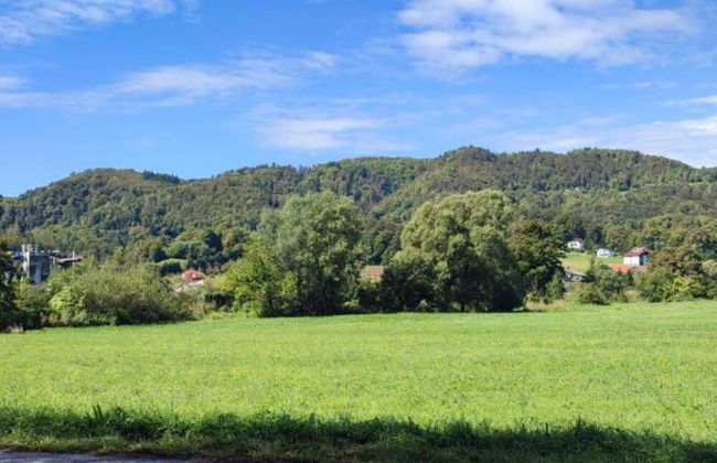 Holiday Pool House - Forest Villa - Foto 25