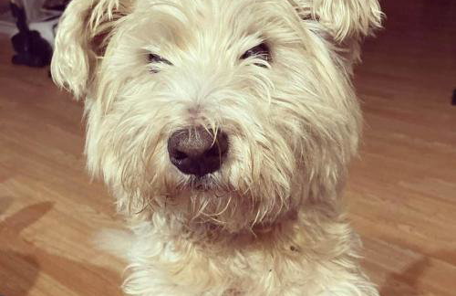 Stasiówka Gospodarstwo Agroturystyczne - Foto 26