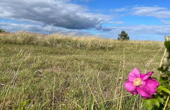 6 Person Holiday Home in Allingabro-by Traum - Foto 3