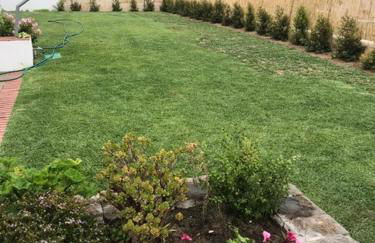 BmyGuest - Sesimbra Country Villa - Foto 3