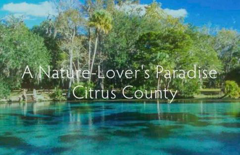 Relaxing Citrus Hills Townhouse Pool/Tennis/Golf - Foto 36