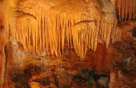 Historical Charming Vintage Villa with 4 bedrooms & country views 4 Villa by RedAwning - Foto 69