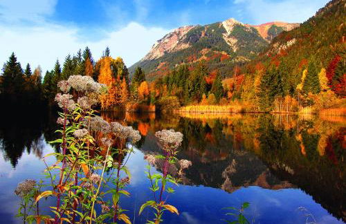 Ferienwohnungen Alpentraum - Landhaus am Bächle - Photo 28