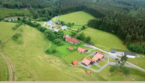 Charmantes Ferienhaus in Skigebietsnaehe - Foto 4