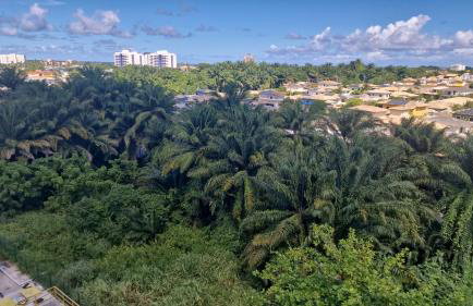 Simplesmente magnífico - Foto 9