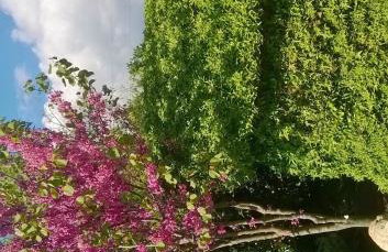 Casetta Olivetta - Foto 15