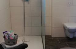 Landhaus Löwenzahn - Foto 15