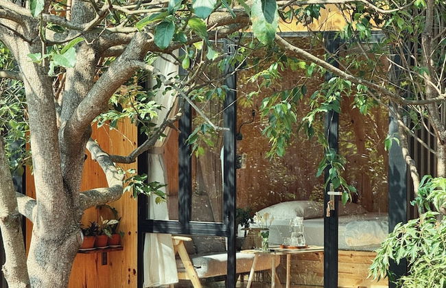 XOM Organic Farm Stay - Photo 30