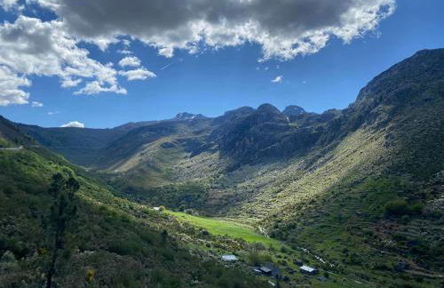 Dona Irene AL - Foto 28