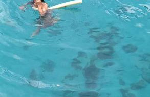 Carnaval Boat Tour - Photo 4