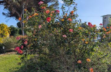 Casale Elisa Country Hotel - Foto 42