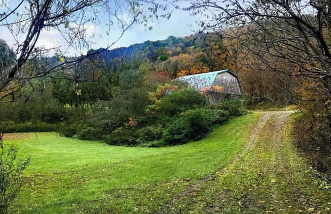 Catskill Retreat - Foto 55