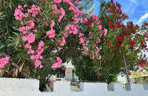 Zante Star Summer House - Photo 20