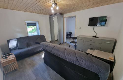 Apartamenty Salamandra - Foto 14