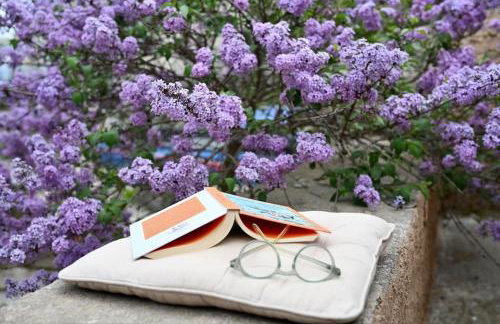 The Teacher's House - Foto 49