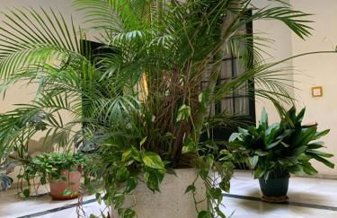 Sibilina House centro Jerez - Foto 27