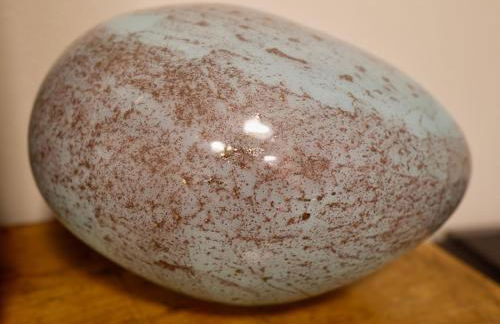 Corte Lavarini The Magic At Sight - Foto 31