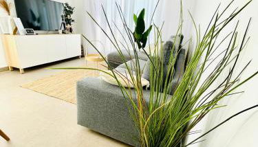 Apartamento Rokita Blanca - Foto 2