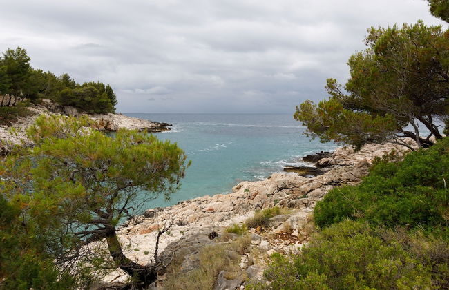 Villa Vito - Foto 53