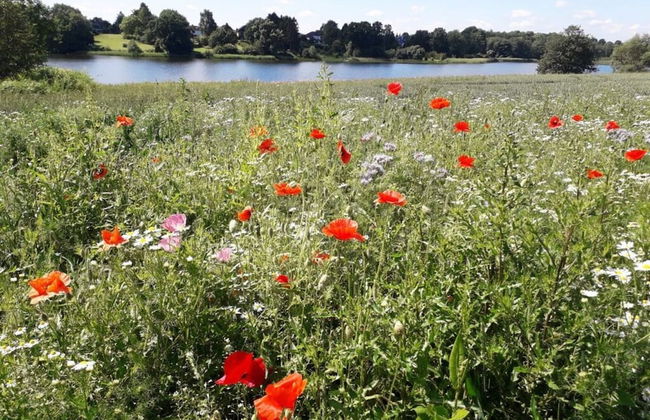 Chrissi's Baltic Sea Nest - Foto 16