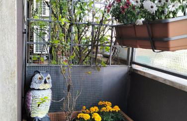 Urbino Uno Apt Venezia - Foto 31