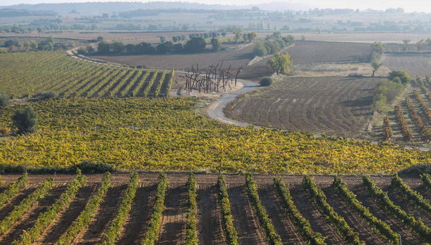 Besuch im Weingut ENATE - Foto 5