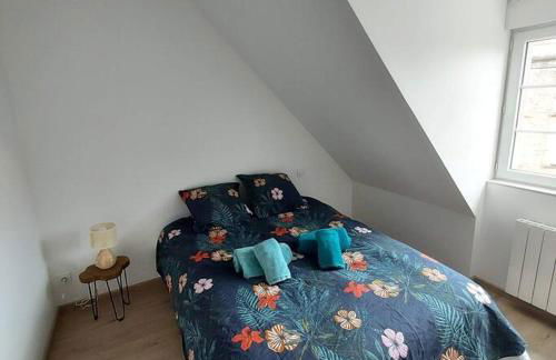 Bel appartement F2 hyper centre refait à neuf - Foto 4