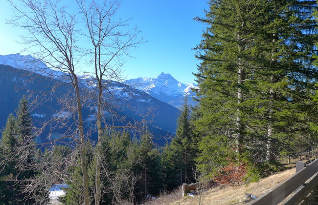 Les Arsets 01/203 - Foto 12