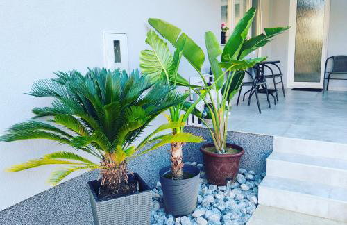 apartmani SUN & MOON - Foto 58