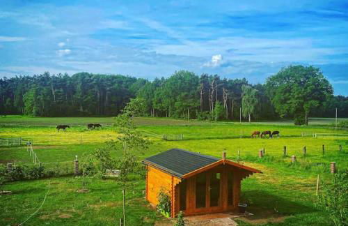 Wunderschöne Ferienwohnung auf dem Bauernhof - Foto 10