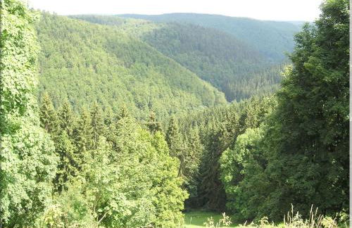 Einladende Ferienwohnung mit Garten - Foto 36