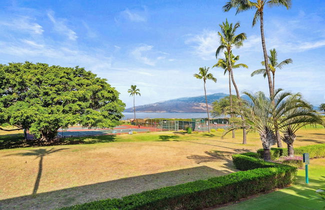 Maui Schooner Resort - Photo 26