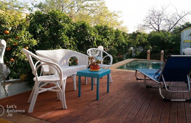 Zagara di Sicilia - Foto 30