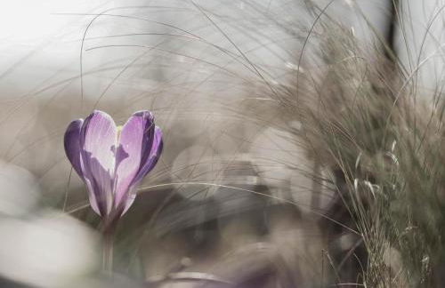 Maison tout inclus avec sauna à venir - Animaux acceptés - FR-1-497-258 - Foto 23