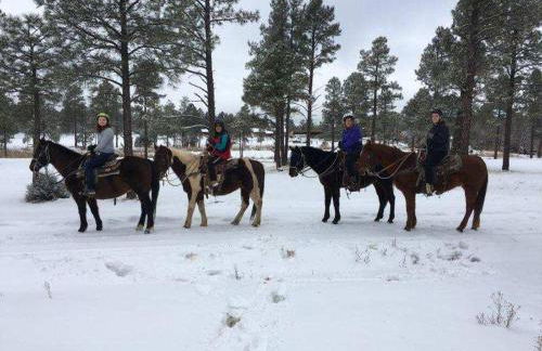 Adair Springs Cabin - Foto 46