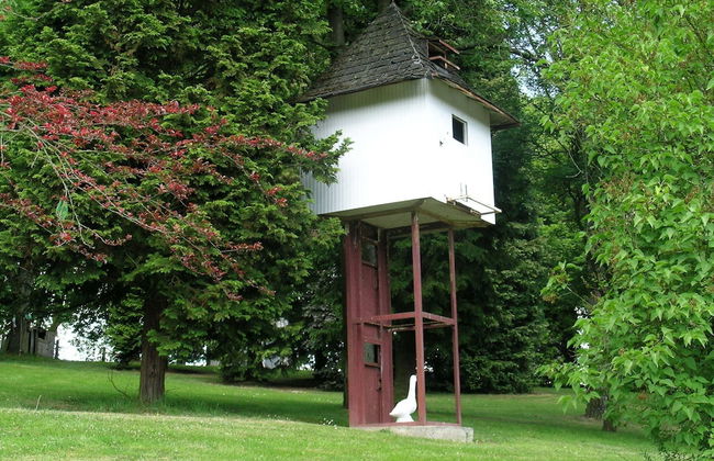 Nature Escape in Bohon - Photo 24