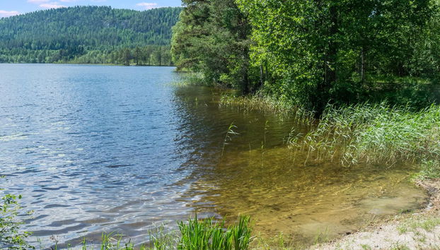 Saunaharju 3 - Foto 5, Inside other