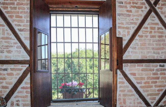 Antica Cantina Emilia - Foto 20